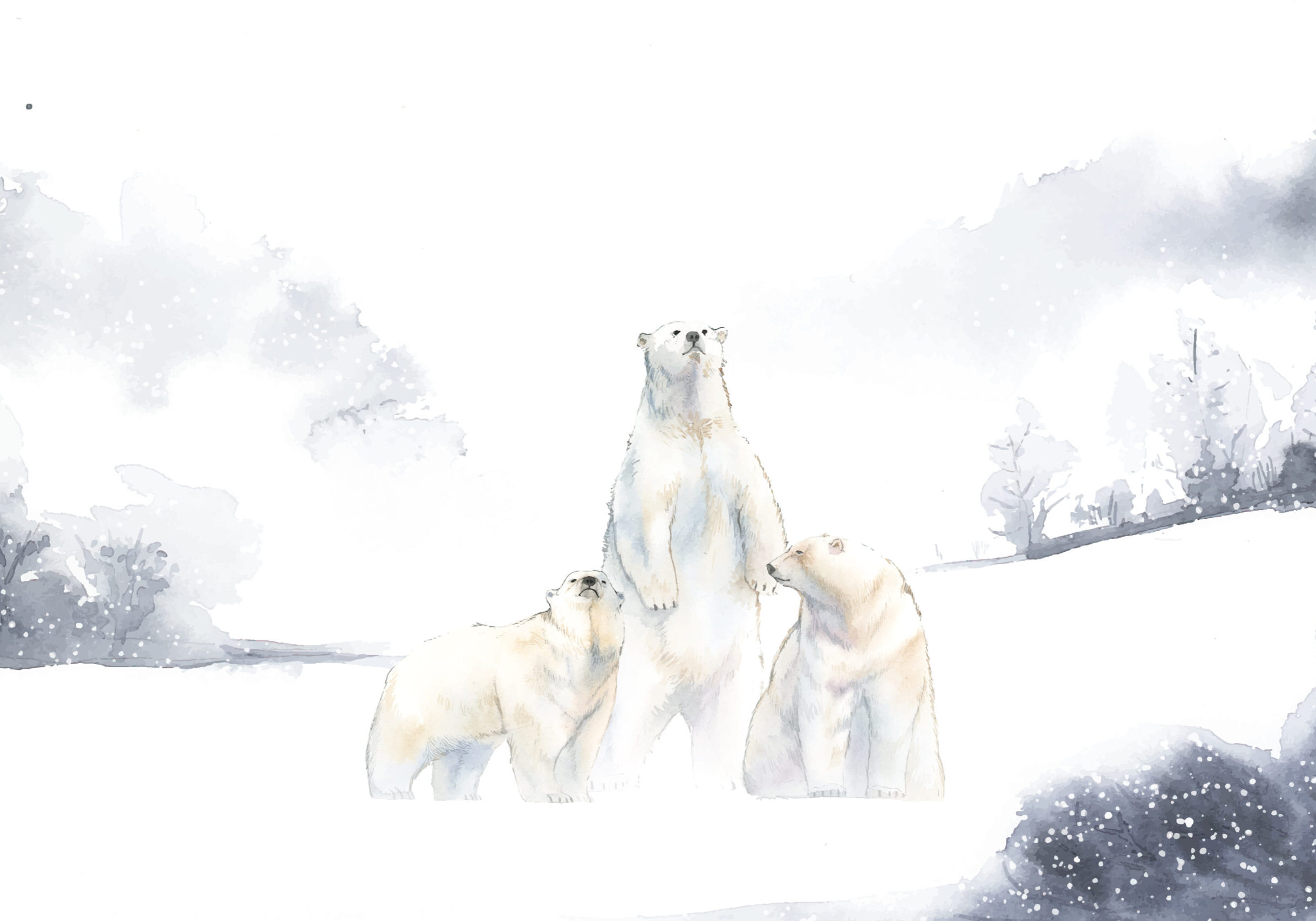 Polar bears in the snow watercolor vector