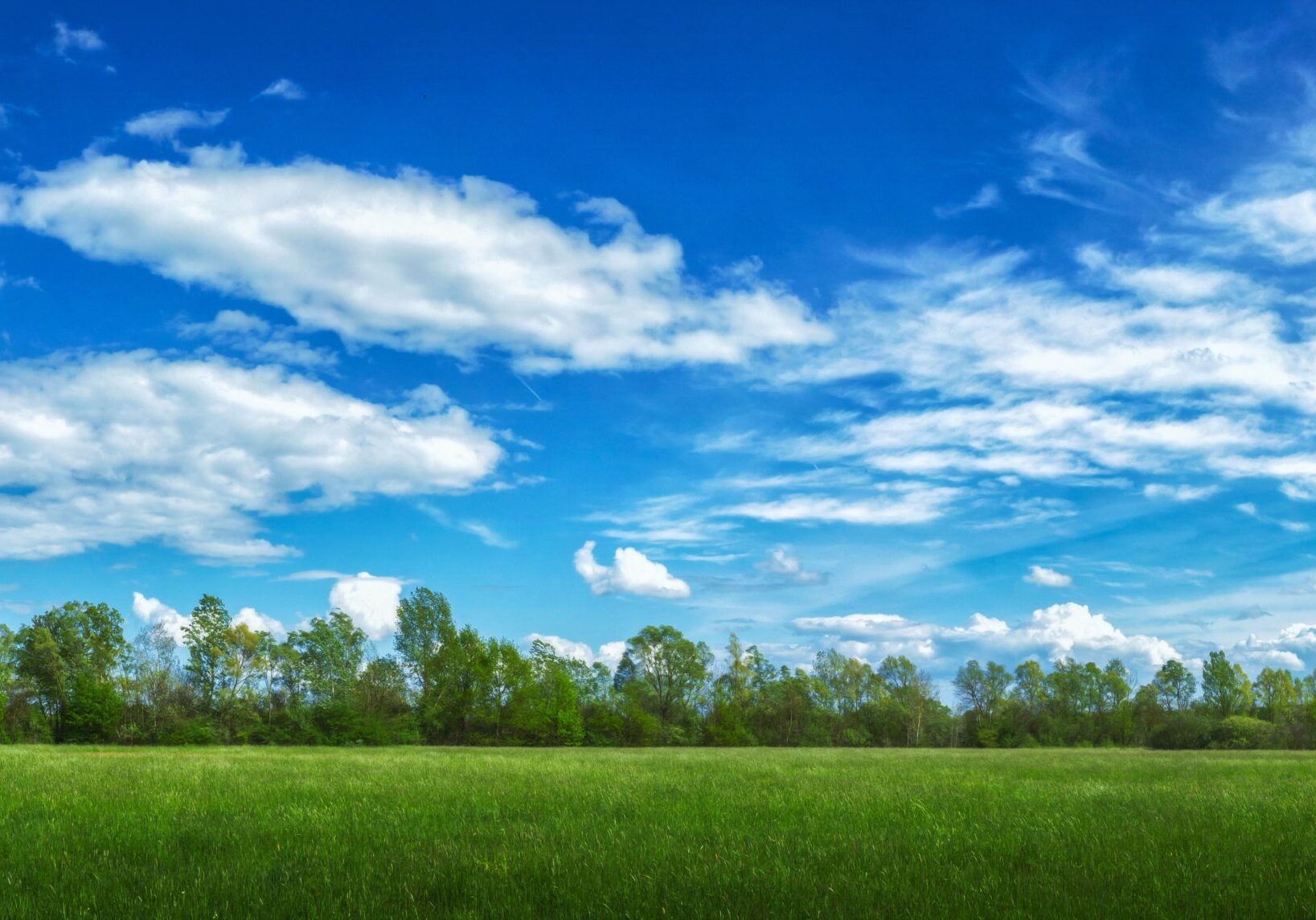 A panoramic view of a field covered in grass and trees under sunlight and a cloudy sky