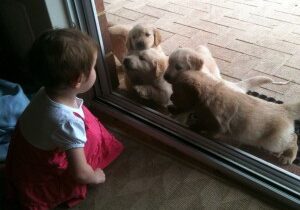 puppy at door